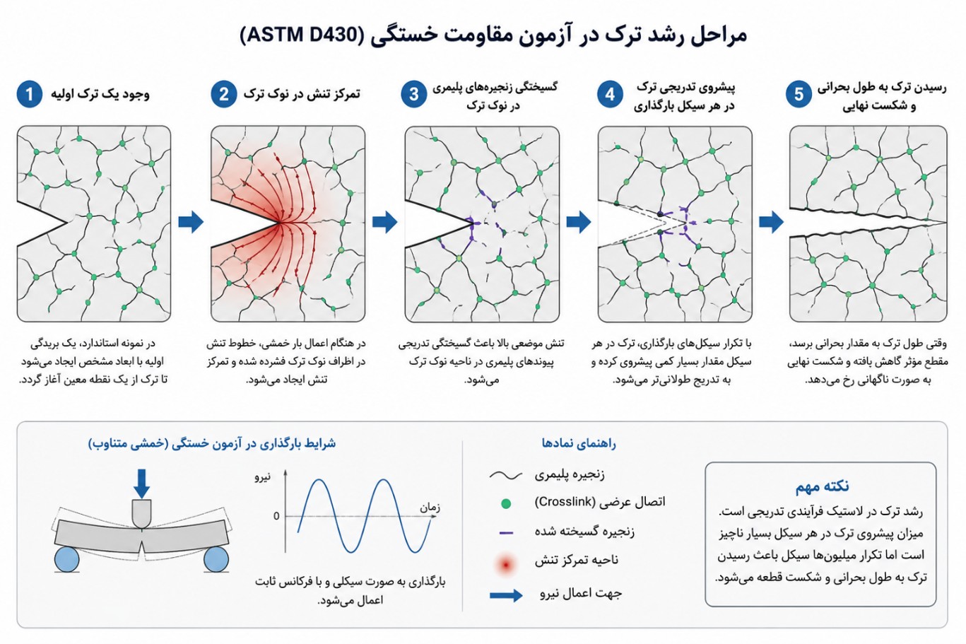 مراحل رشد ترک در آزمون مقاومت خستگی ASTM D430